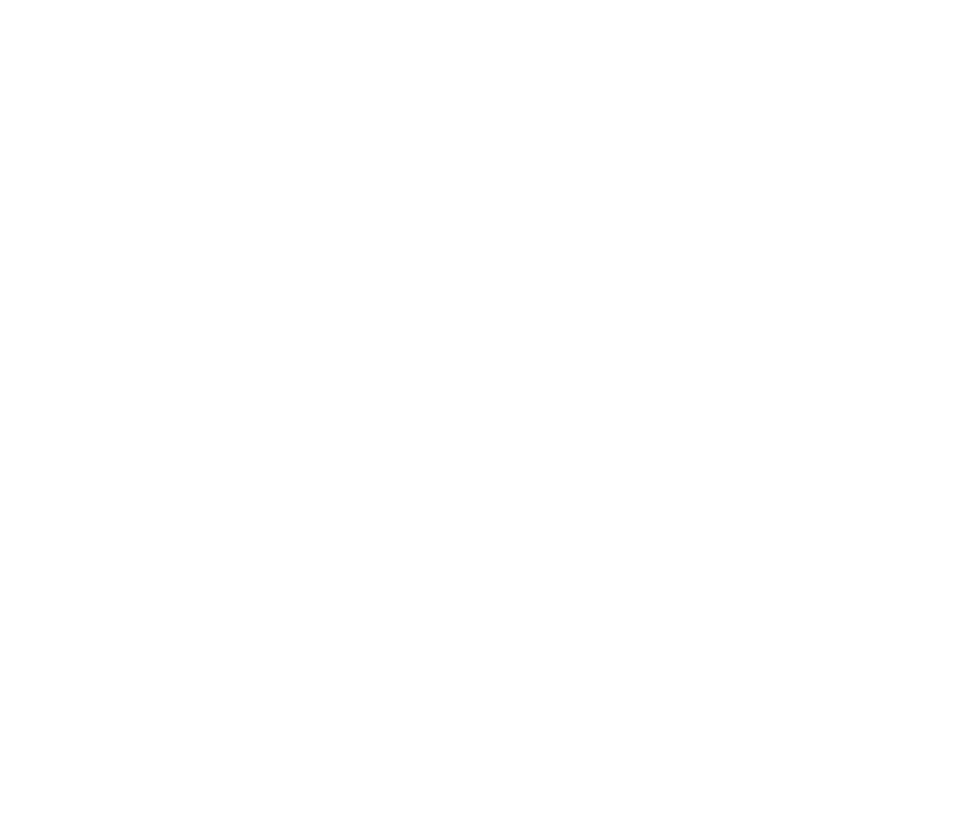 Kars Peynircisi